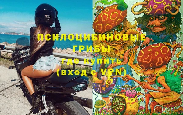 шишки Вязники